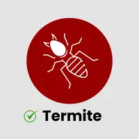 Termite Service