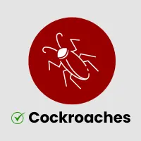 Cockroaches Control Service