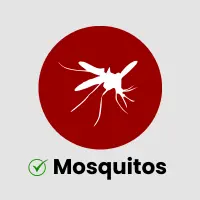 Mosquitos Control Service
