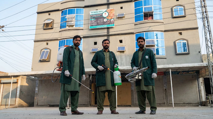 apex guard pest control